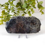  Biotite Mica Book | Black Crystal | 71 Grams | Ontario, Canada | SO24 1