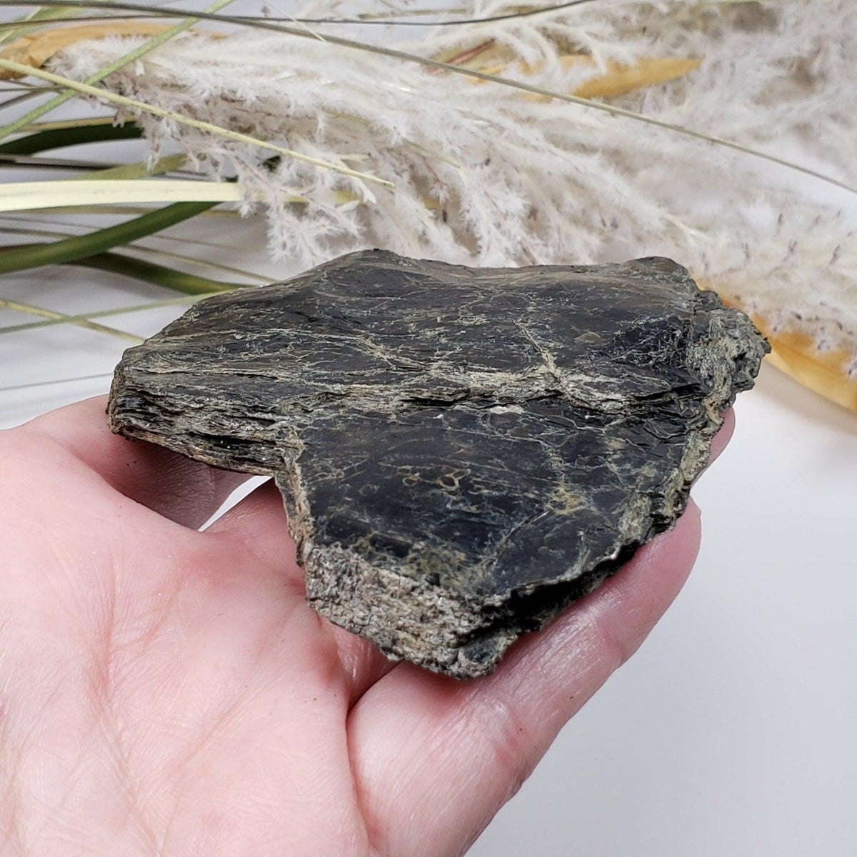  Biotite Mica Book | Black Crystals | 127.4 Grams | Ontario, Canada | SO24 4