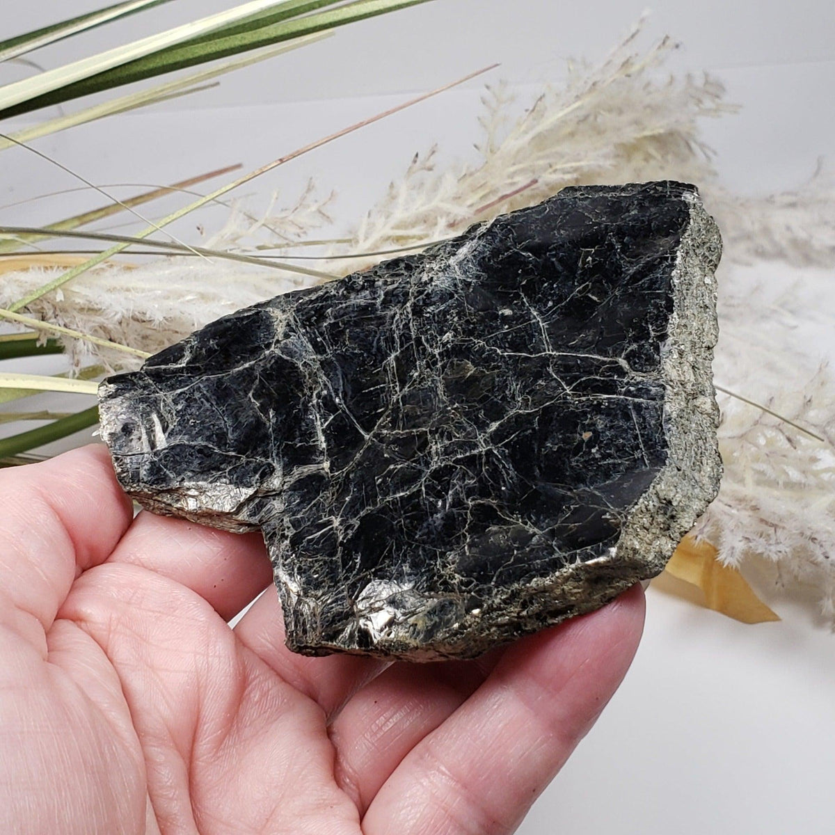  Biotite Mica Book | Black Crystals | 127.4 Grams | Ontario, Canada | SO24 5