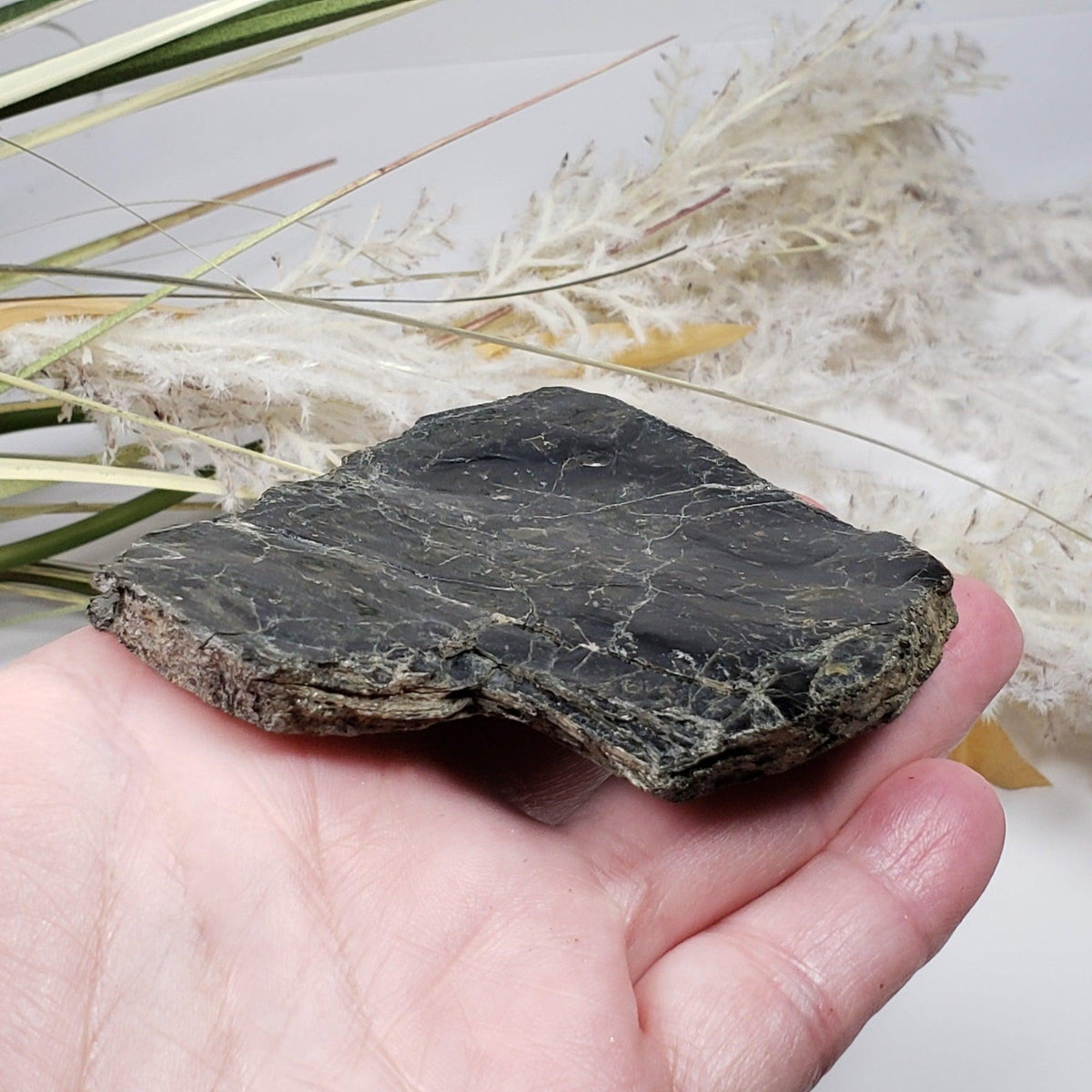  Biotite Mica Book | Black Crystals | 127.4 Grams | Ontario, Canada | SO24 8