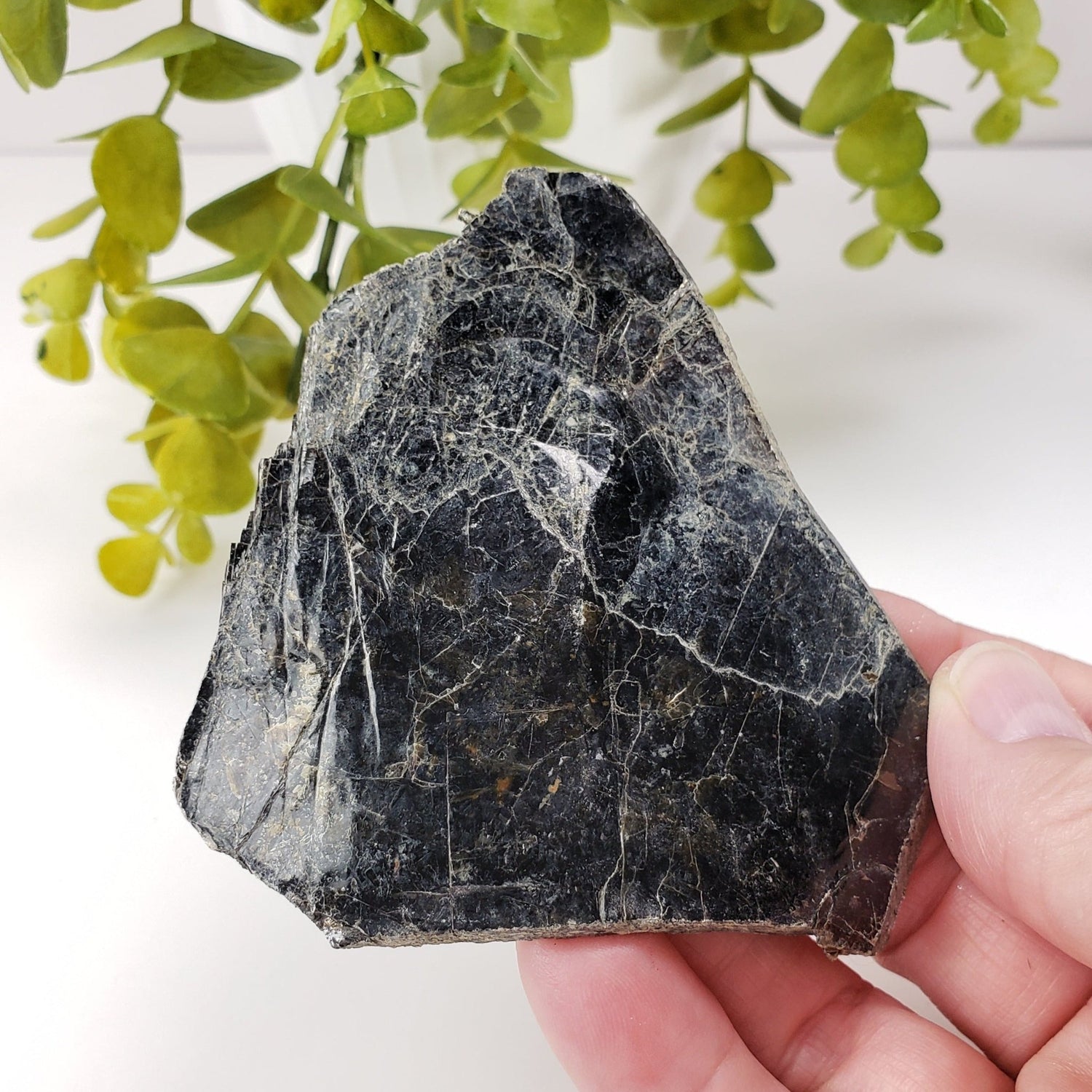  Biotite Mica Book | Black Crystals | 47.7 Grams | Ontario, Canada | SO24 1