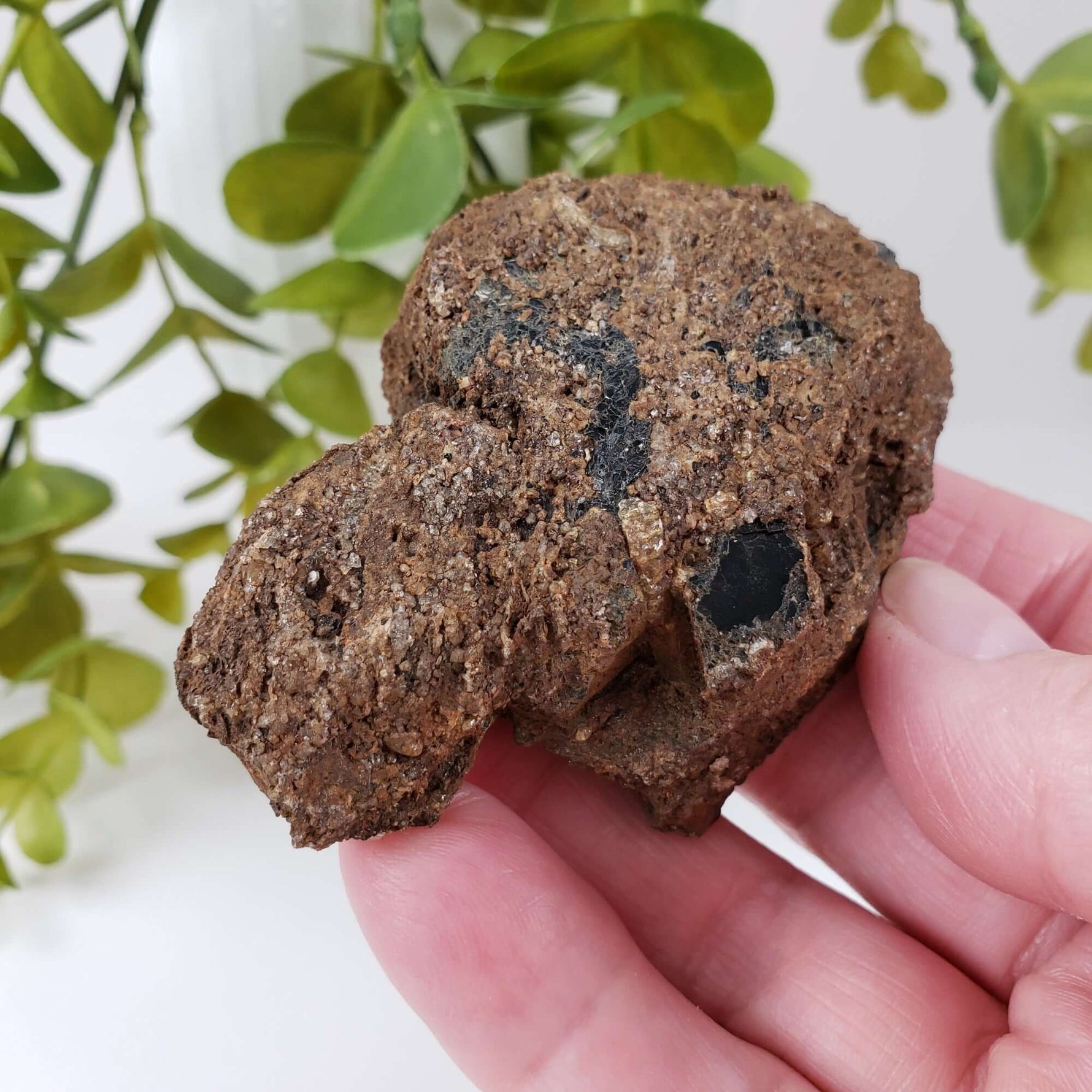  Biotite Mica and Apatite Crystals | 121 Grams | Tory Hill, Ontario Canada | SO24 1