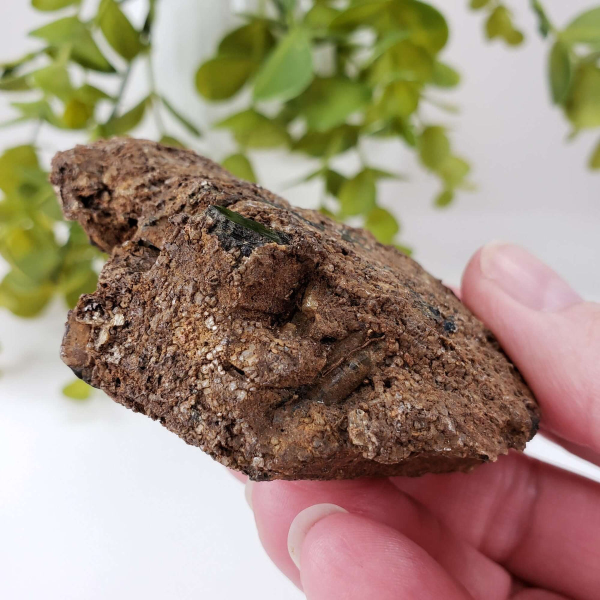  Biotite Mica and Apatite Crystals | 121 Grams | Tory Hill, Ontario Canada | SO24 2