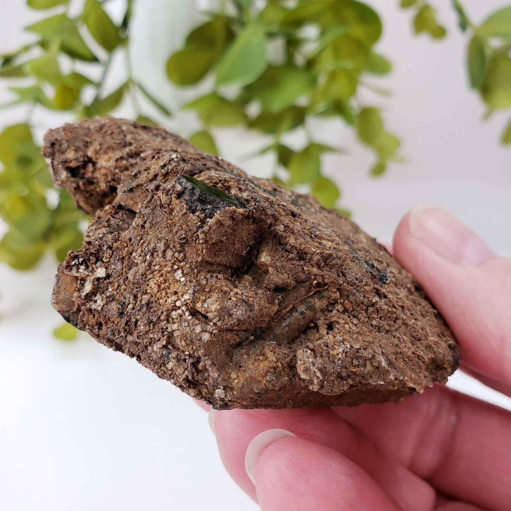  Biotite Mica and Apatite Crystals | 121 Grams | Tory Hill, Ontario Canada | SO24 2