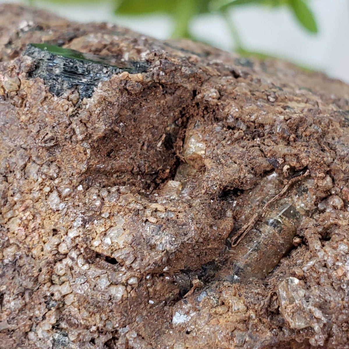  Biotite Mica and Apatite Crystals | 121 Grams | Tory Hill, Ontario Canada | SO24 4