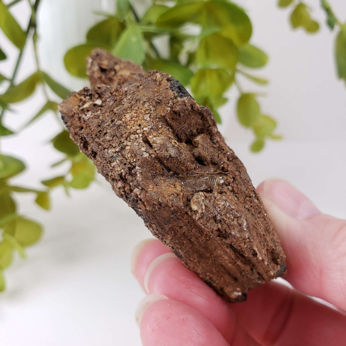  Biotite Mica and Apatite Crystals | 121 Grams | Tory Hill, Ontario Canada | SO24 5