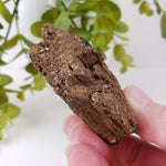  Biotite Mica and Apatite Crystals | 121 Grams | Tory Hill, Ontario Canada | SO24 5