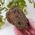  Biotite Mica and Apatite Crystals | 121 Grams | Tory Hill, Ontario Canada | SO24 6