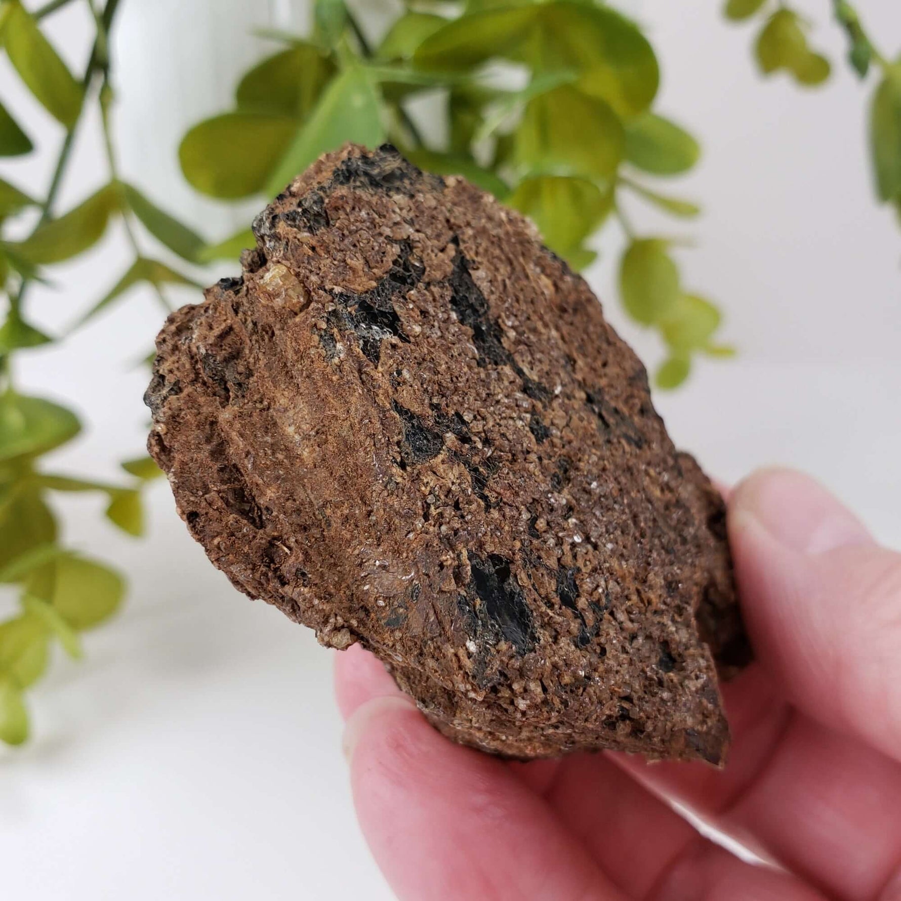  Biotite Mica and Apatite Crystals | 121 Grams | Tory Hill, Ontario Canada | SO24 6