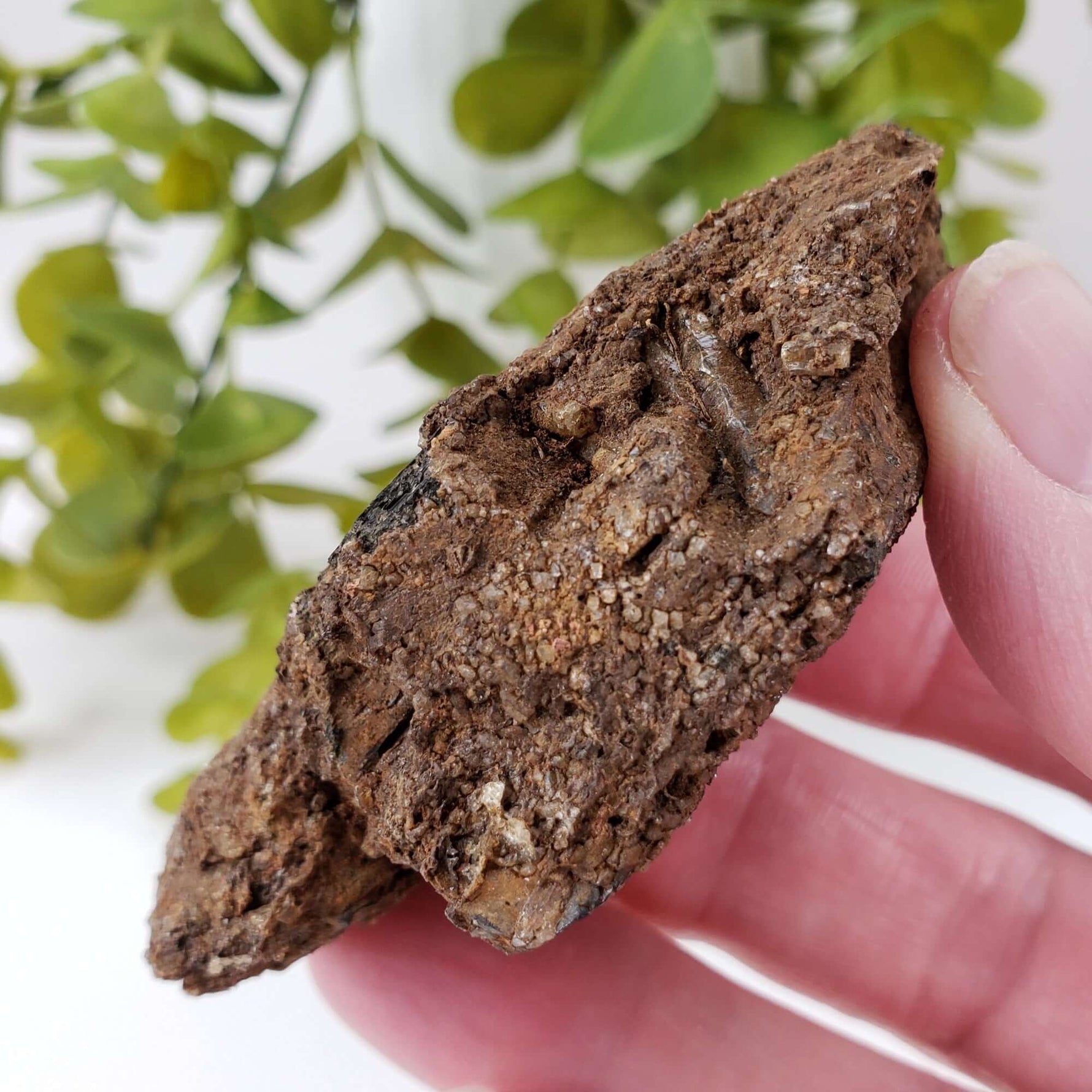  Biotite Mica and Apatite Crystals | 121 Grams | Tory Hill, Ontario Canada | SO24 7