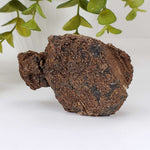  Biotite Mica and Apatite Crystals | 121 Grams | Tory Hill, Ontario Canada | SO24 8