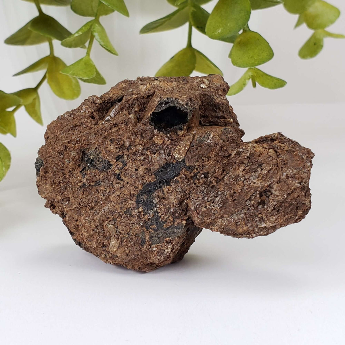  Biotite Mica and Apatite Crystals | 121 Grams | Tory Hill, Ontario Canada | SO24 9