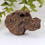  Biotite Mica and Apatite Crystals | 121 Grams | Tory Hill, Ontario Canada | SO24 9