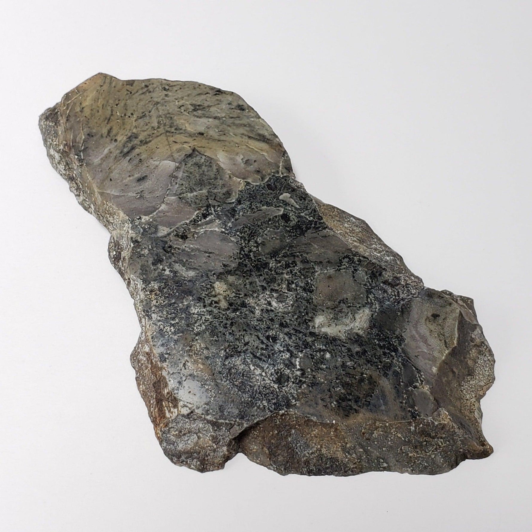  Black Onaping Slice | 102.5 Grams | Impactite | Sudbury Structure, Canada | SO24 5