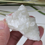  Calcite on Prehnite Crystal Cluster | Double Terminated Calcite | 77 grams | Mumbai, India 5