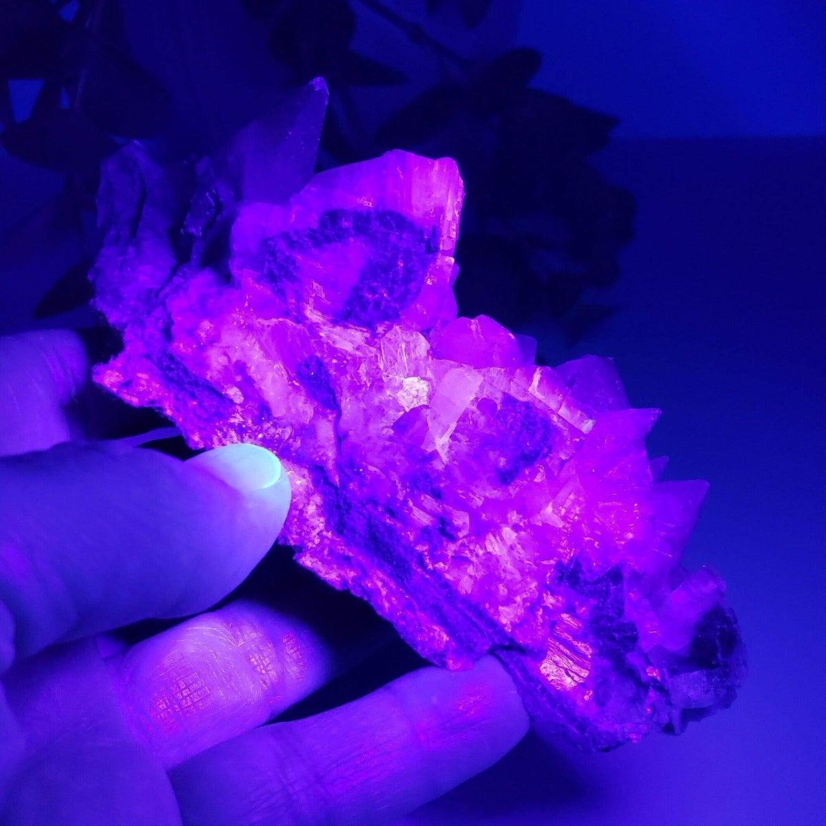  Calcite with Hematite on Matrix | 258.4 grams | Fluorescent Crystal | Lane's Quarry, Westfield MA | SO24 9