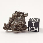  Campo del Cielo Crystal Meteorite | 9.45 Grams | Fragment | Iron IAB-MG | Argentina SO24 