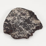  Campo del Cielo Meteorite | 16.9 Grams | Premium Silicated Slice | Iron IAB-MG | Argentina 3