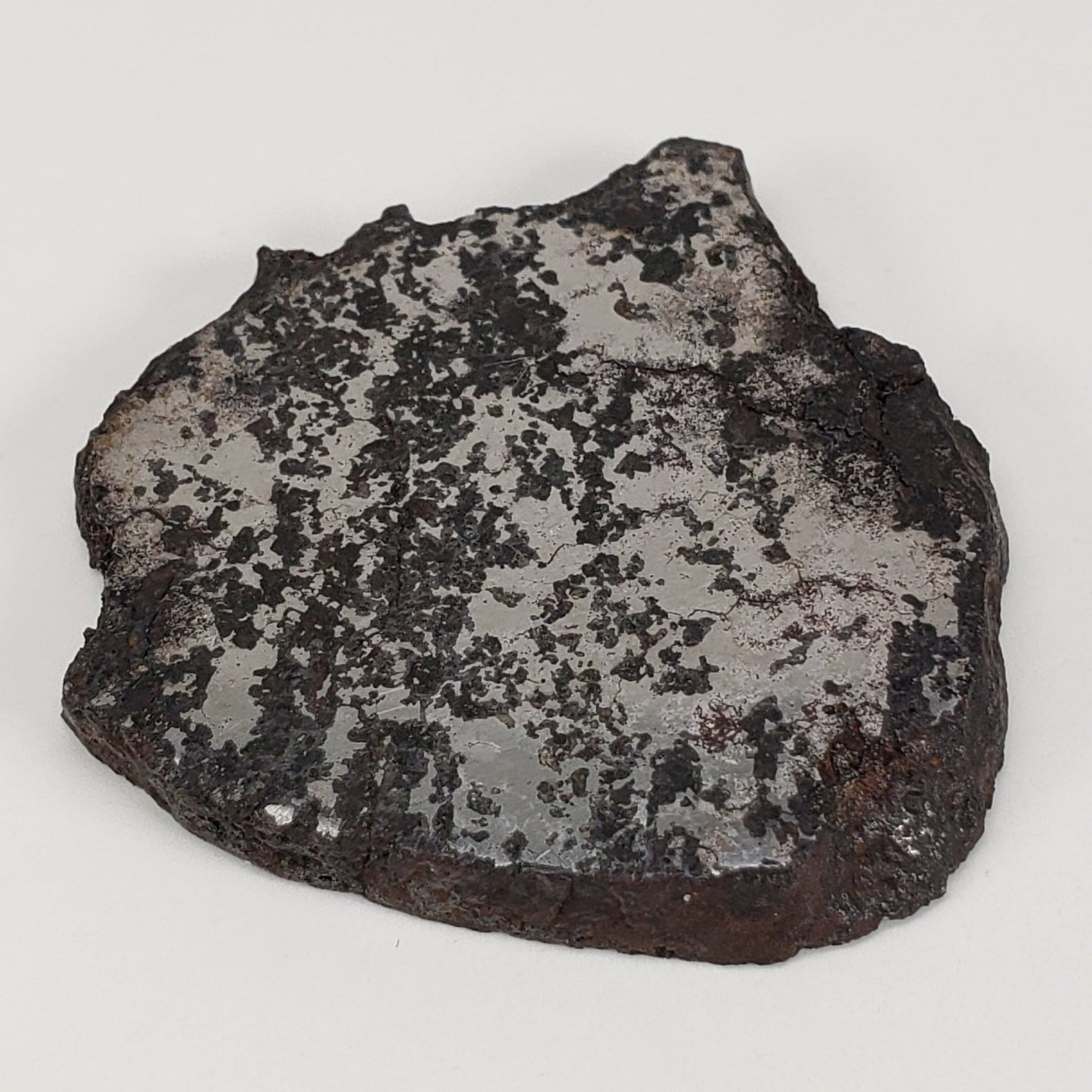 Campo del Cielo Meteorite | 16.9 Grams | Premium Silicated Slice | Iron IAB-MG | Argentina 4