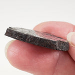  Campo del Cielo Meteorite | 16.9 Grams | Premium Silicated Slice | Iron IAB-MG | Argentina 5