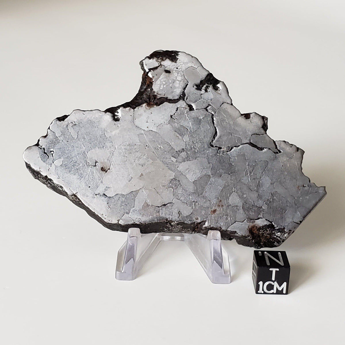  Campo del Cielo Meteorite | 164.29 Grams | Premium Etched Slice | Iron IAB-MG | Argentina | SO24 
