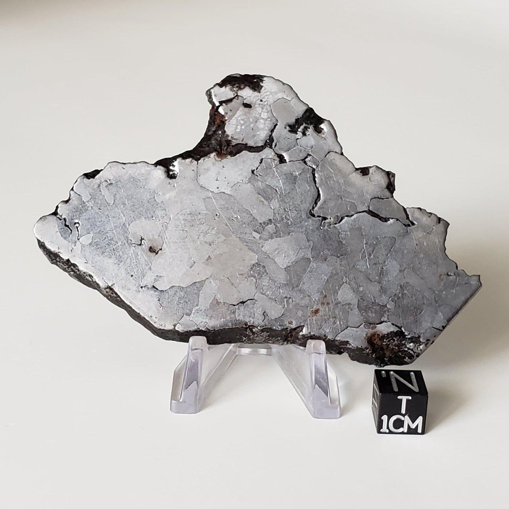  Campo del Cielo Meteorite | 164.29 Grams | Premium Etched Slice | Iron IAB-MG | Argentina | SO24 