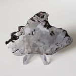  Campo del Cielo Meteorite | 164.29 Grams | Premium Etched Slice | Iron IAB-MG | Argentina | SO24 1