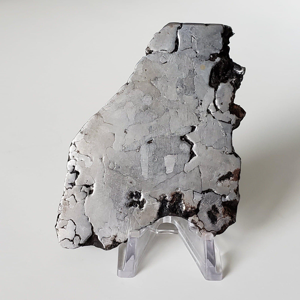  Campo del Cielo Meteorite | 164.29 Grams | Premium Etched Slice | Iron IAB-MG | Argentina | SO24 2