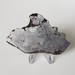  Campo del Cielo Meteorite | 164.29 Grams | Premium Etched Slice | Iron IAB-MG | Argentina | SO24 3