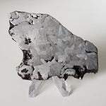  Campo del Cielo Meteorite | 164.29 Grams | Premium Etched Slice | Iron IAB-MG | Argentina | SO24 5