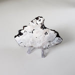  Campo del Cielo Meteorite | 164.29 Grams | Premium Etched Slice | Iron IAB-MG | Argentina | SO24 6