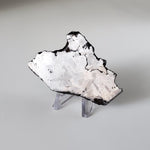  Campo del Cielo Meteorite | 164.29 Grams | Premium Etched Slice | Iron IAB-MG | Argentina | SO24 7