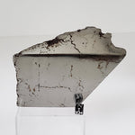  Campo del Cielo Meteorite | Huge 1.8 KG | Part End Cut | Iron IAB-MG | Argentina | SO24 