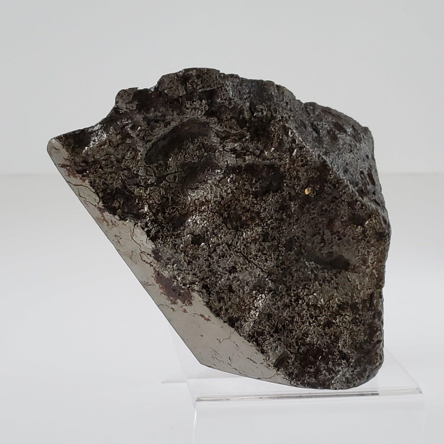  Campo del Cielo Meteorite | Huge 1.8 KG | Part End Cut | Iron IAB-MG | Argentina | SO24 4