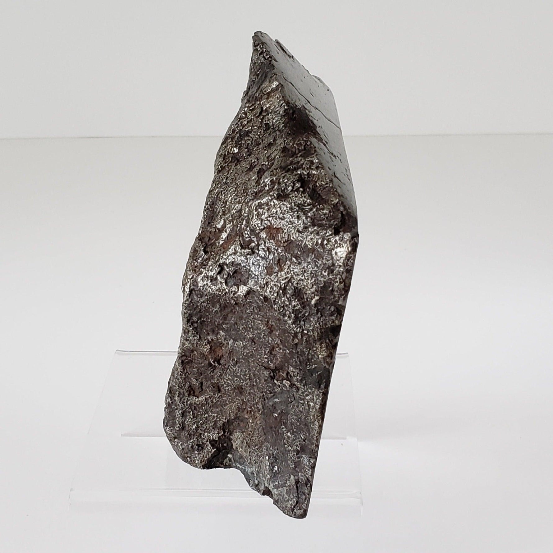  Campo del Cielo Meteorite | Huge 1.8 KG | Part End Cut | Iron IAB-MG | Argentina | SO24 6