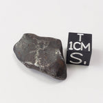  Canyon Diablo Meteorite | 11.7 Grams | Individual | Iron IAB-MG | Arizona U.S.A. | SO24 