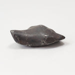  Canyon Diablo Meteorite | 11.7 Grams | Individual | Iron IAB-MG | Arizona U.S.A. | SO24 2