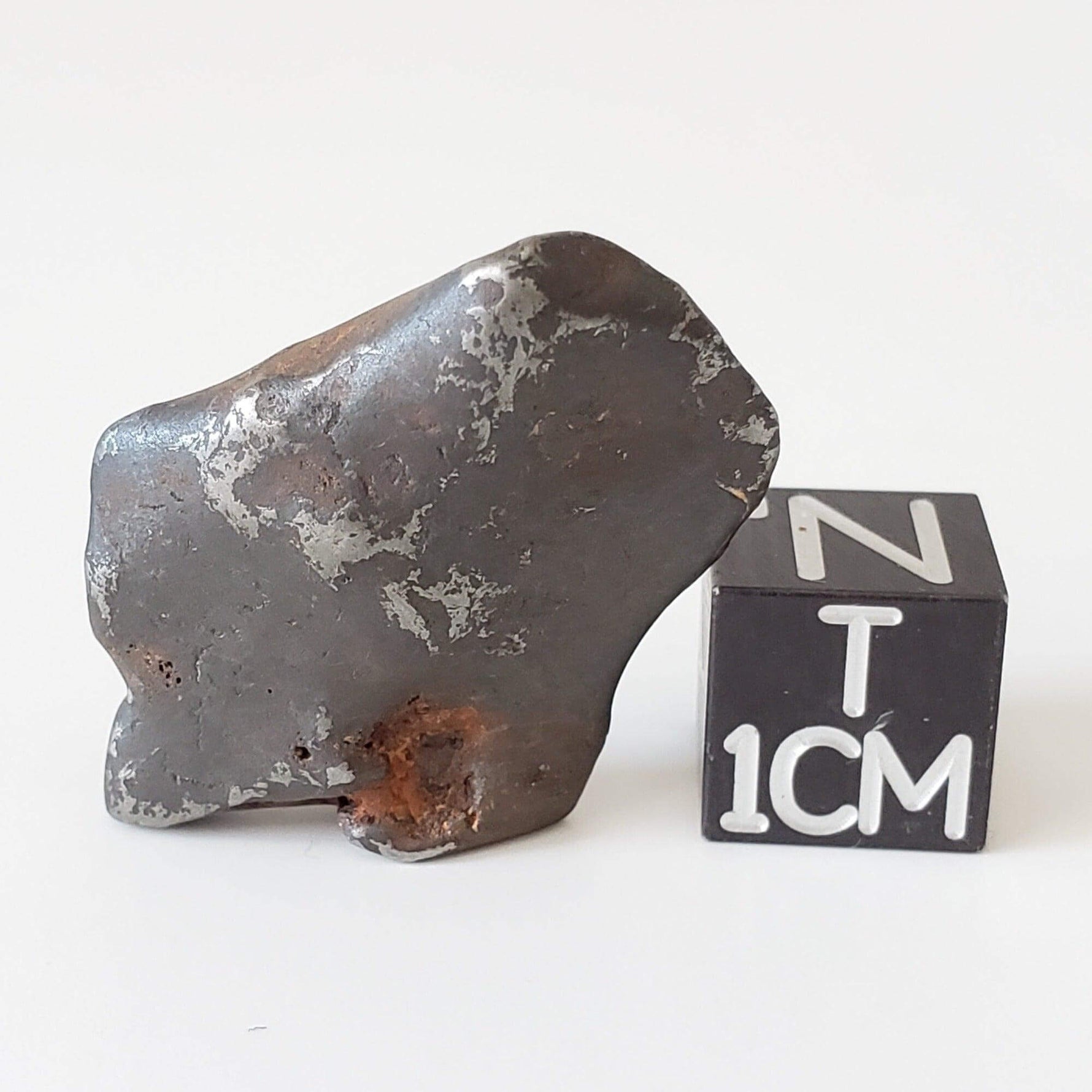  Canyon Diablo Meteorite | 11 Grams | Individual | Iron IAB-MG | Arizona U.S.A. | SO24 