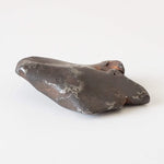  Canyon Diablo Meteorite | 11 Grams | Individual | Iron IAB-MG | Arizona U.S.A. | SO24 5