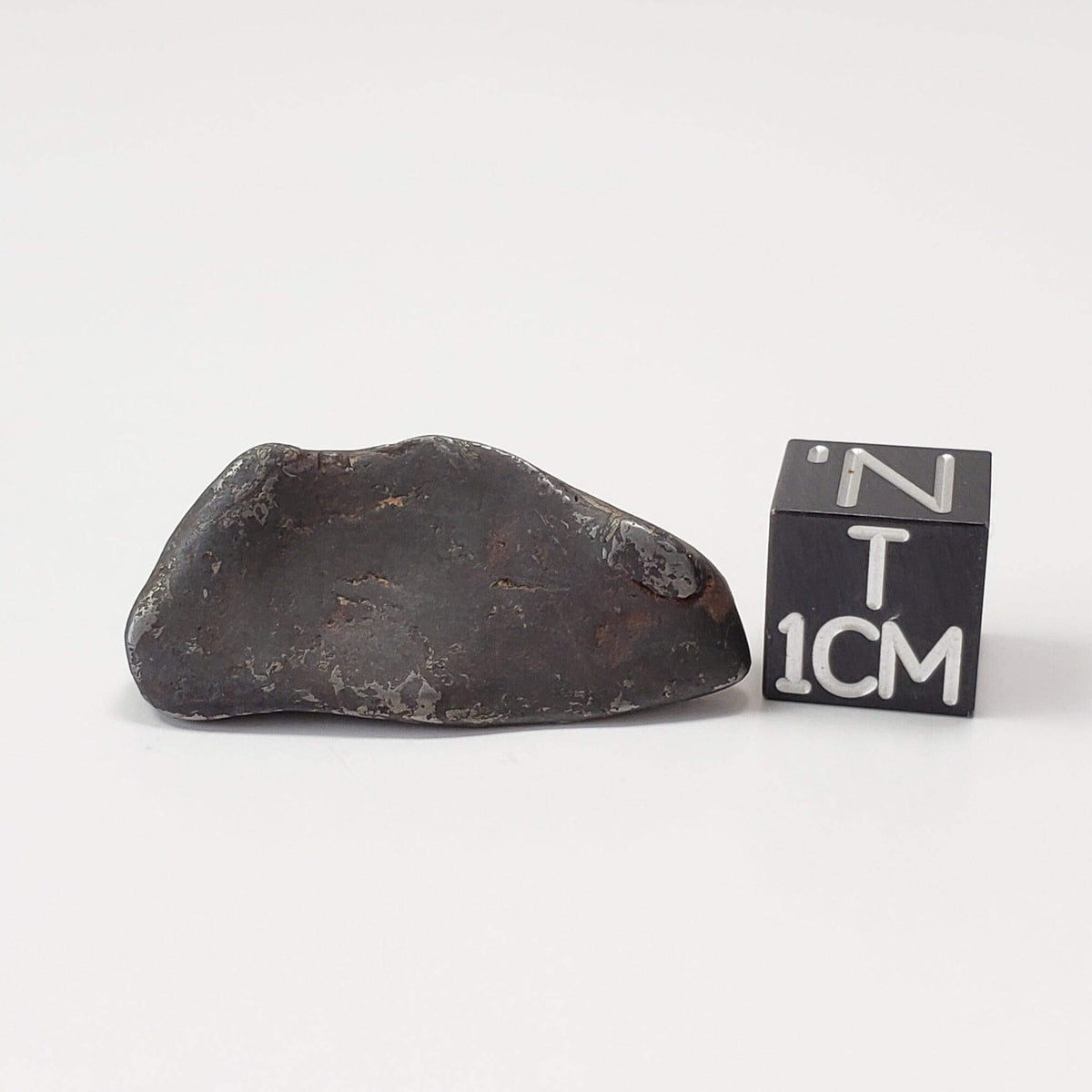  Canyon Diablo Meteorite | 11 Grams | Individual | Iron IAB-MG | Arizona U.S.A. | SO24 