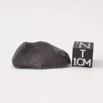 Canyon Diablo Meteorite | 11 Grams | Individual | Iron IAB-MG | Arizona U.S.A. | SO24 