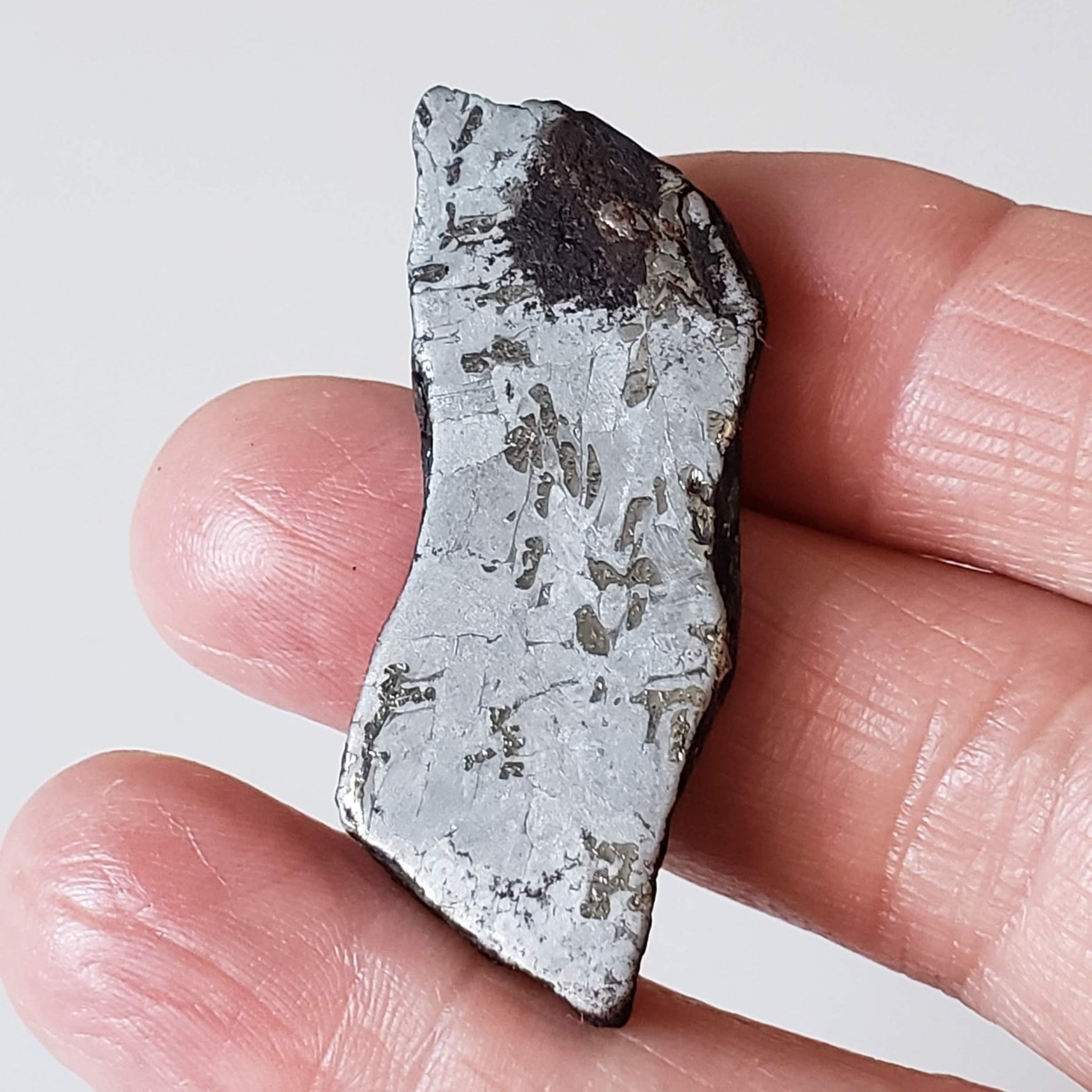  Canyon Diablo Meteorite | 21.7 Grams | End Cut | Iron IAB-MG | Arizona U.S.A. | SO24 3