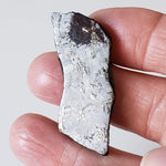  Canyon Diablo Meteorite | 21.7 Grams | End Cut | Iron IAB-MG | Arizona U.S.A. | SO24 4
