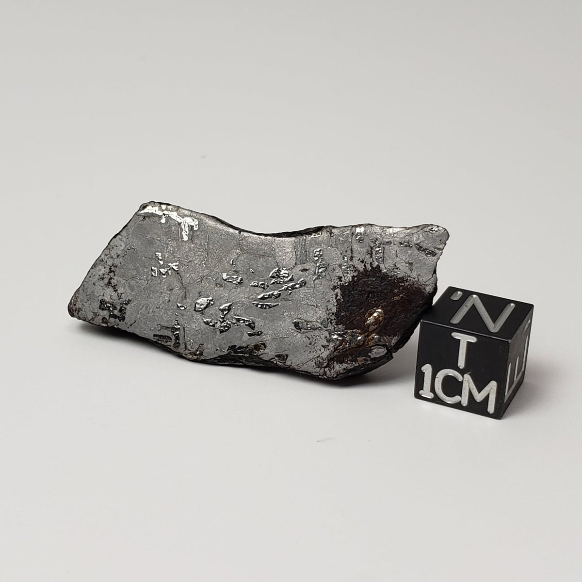  Canyon Diablo Meteorite | 21.7 Grams | End Cut | Iron IAB-MG | Arizona U.S.A. | SO24 