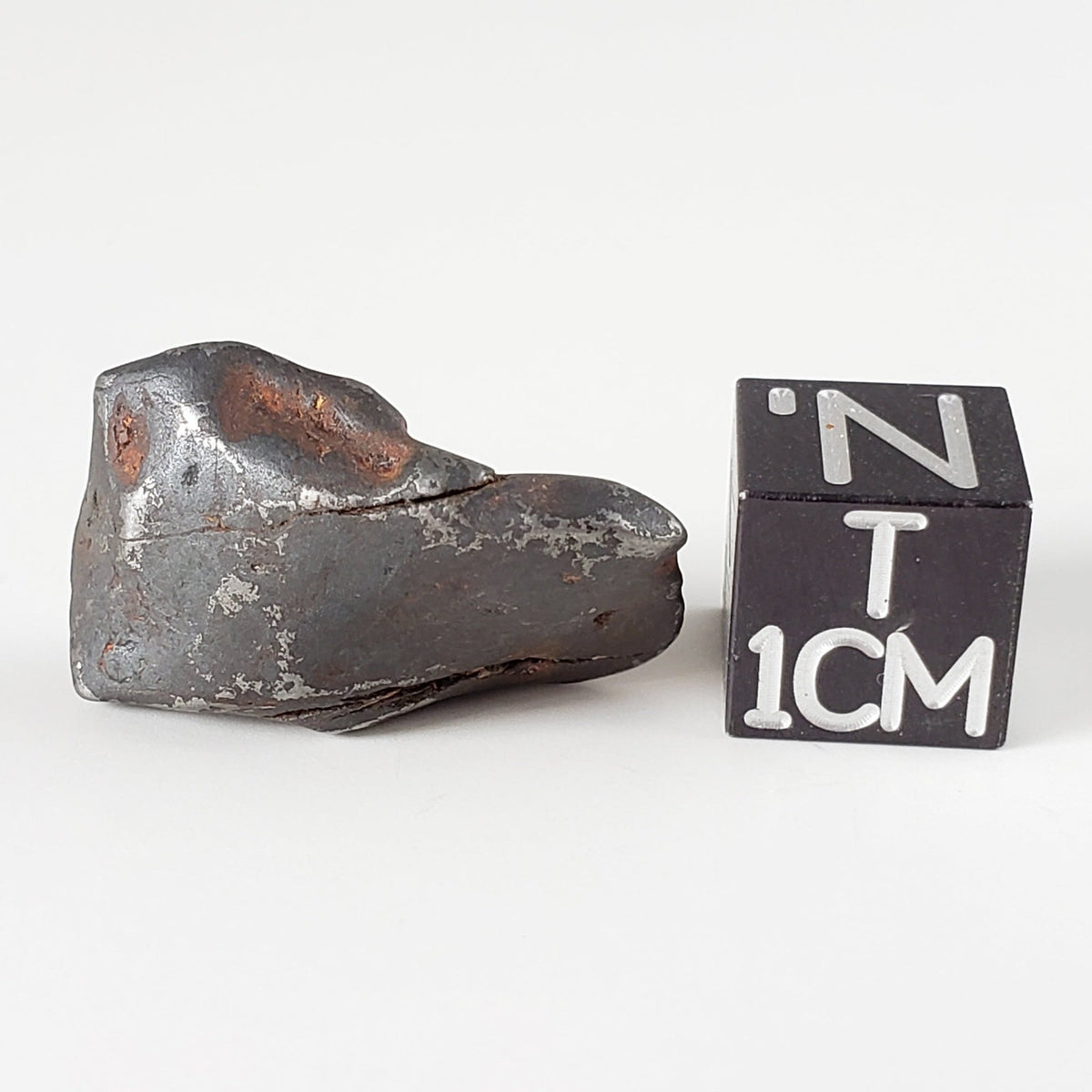  Canyon Diablo Meteorite | 7.47 Grams | Individual | Iron IAB-MG | Arizona U.S.A. | SO24 