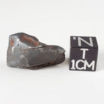  Canyon Diablo Meteorite | 7.47 Grams | Individual | Iron IAB-MG | Arizona U.S.A. | SO24 