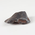  Canyon Diablo Meteorite | 7.47 Grams | Individual | Iron IAB-MG | Arizona U.S.A. | SO24 5