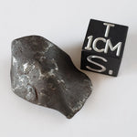  Canyon Diablo Meteorite | 9.8 Grams | Individual | Iron IAB-MG | Arizona U.S.A. O SO24 