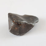  Canyon Diablo Meteorite | 9.8 Grams | Individual | Iron IAB-MG | Arizona U.S.A. O SO24 2