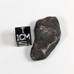  Canyon Diablo Meteorite-in-a-Box | 11.6 Grams | Individual | Iron IAB-MG | Arizona U.S.A. | SO24 